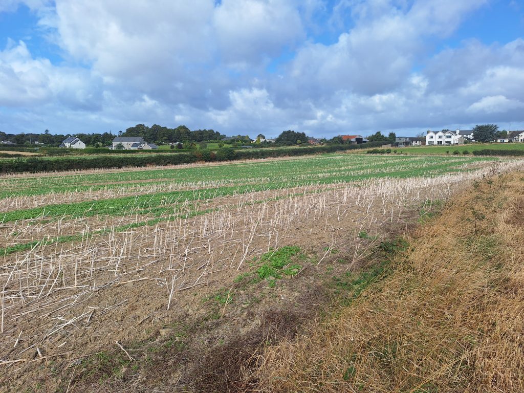 Riverstown, Ardee, Co. Louth  Agricultural Land For Sale – 13.04 acres (5.28 hectares).