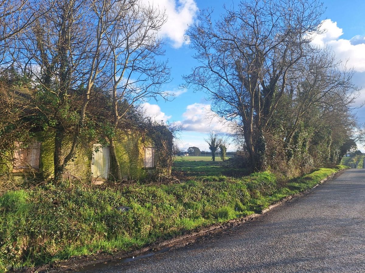 Dromin Cross, Dunleer, Co. Louth